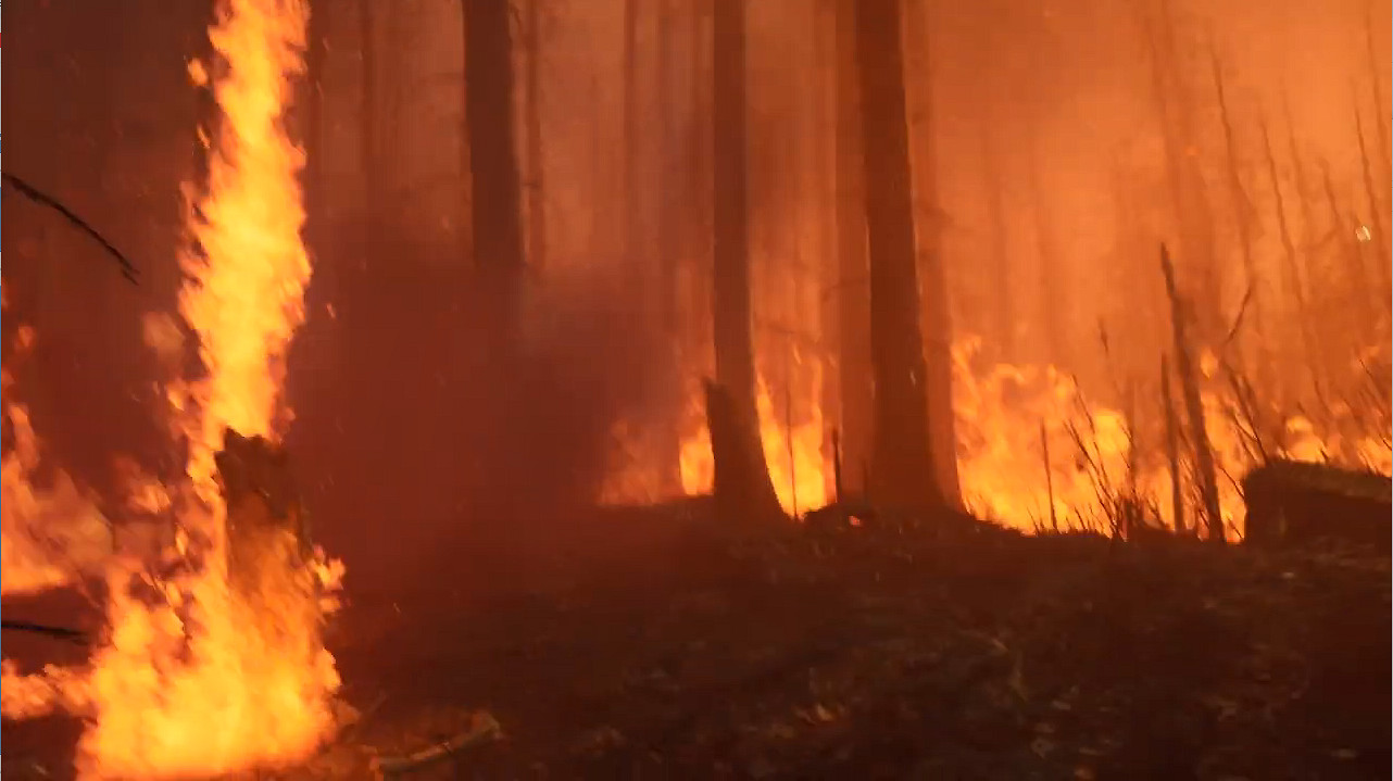 洛夫克拉夫特恐怖FPS新作《頹廢》宣傳片公開! 洛夫克拉夫特恐怖FPS新作《頹廢》宣傳片公開!