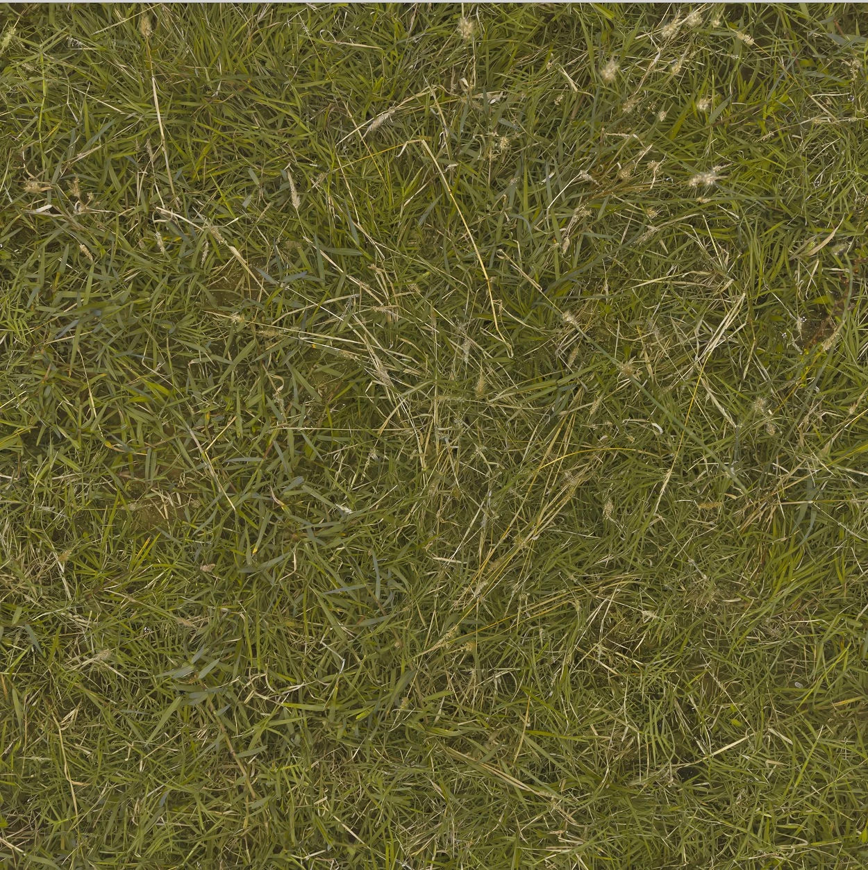 《龍之信條2》新環境4K材質包公布！修復鋸齒邊緣