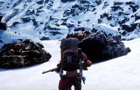 《幻獸帕魯》純水晶介紹 《幻獸帕魯》純水晶介紹