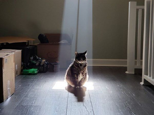 沒想到愛麗絲的車燈這麽大？囧圖姑娘的腿真的這麽白嗎