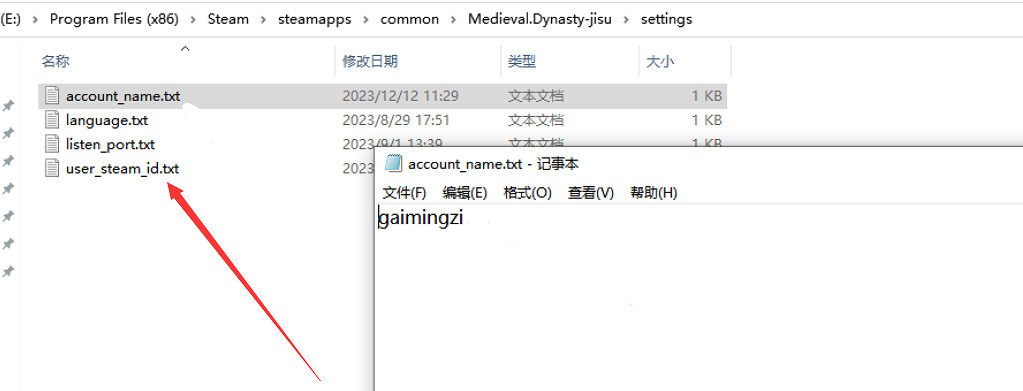 《中世紀王朝》對戰平台連線教學