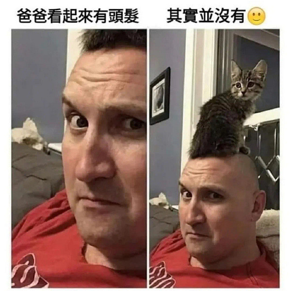 沒想到愛麗絲的車燈這麽大？囧圖姑娘的腿真的這麽白嗎