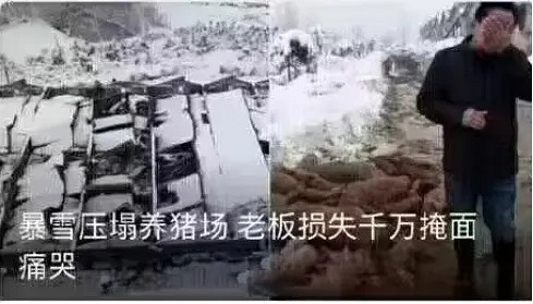 網易和暴雪宣布“複婚”,玩家是不是成了小醜？