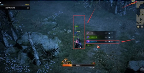 《命運方舟》採花位置介紹