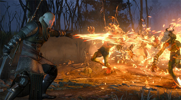 《巫師3狂獵》升級寶寶方法