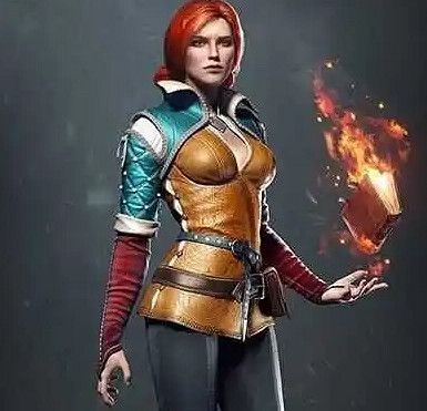 《巫師3》全部任務程式碼一覽