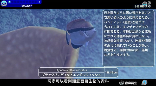 《永恒蔚藍:流光》介紹影片公布:支援30人同時遊玩 《永恒蔚藍:流光》介紹影片公布:支援30人同時遊玩