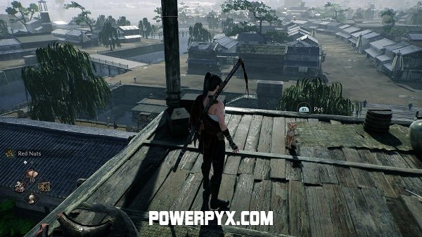 《浪人崛起》全貓咪收集攻略 《浪人崛起》全貓咪收集攻略