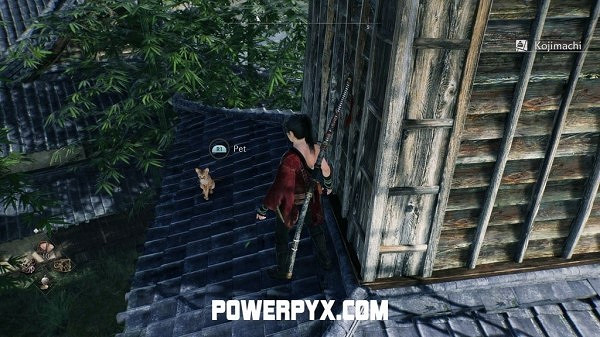 《浪人崛起》全貓咪收集攻略 《浪人崛起》全貓咪收集攻略