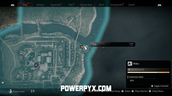 《浪人崛起》全貓咪收集攻略 《浪人崛起》全貓咪收集攻略