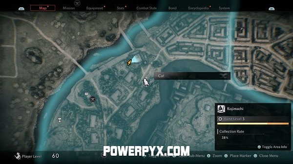 《浪人崛起》全貓咪收集攻略 《浪人崛起》全貓咪收集攻略