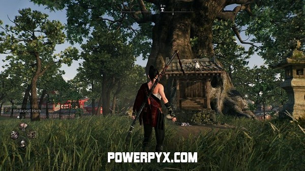 《浪人崛起》全神社位置攻略