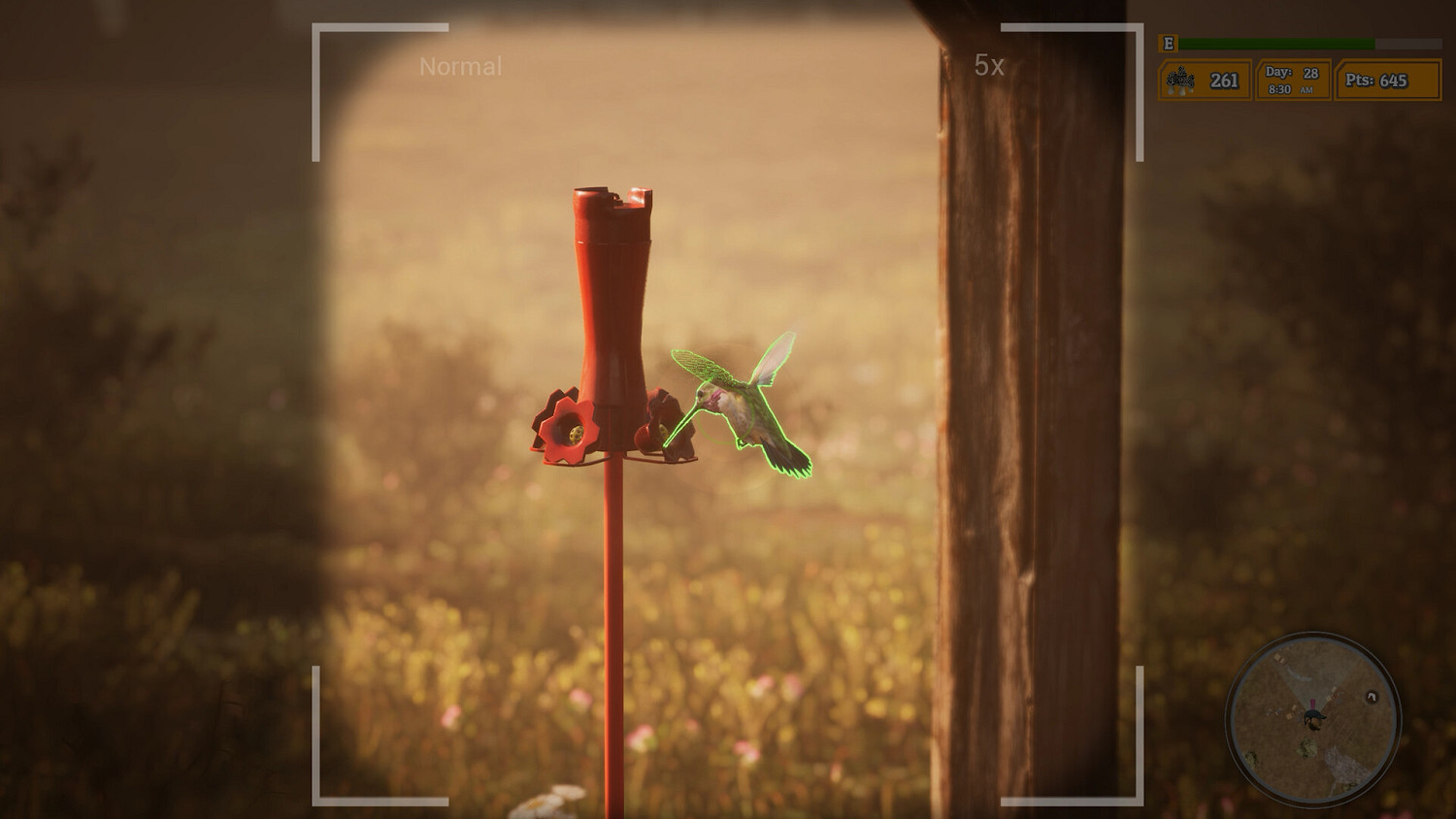 先菌子後小人 模擬遊戲《羊肚菌:獵人2》現已正式發售 先菌子後小人 模擬遊戲《羊肚菌:獵人2》現已正式發售