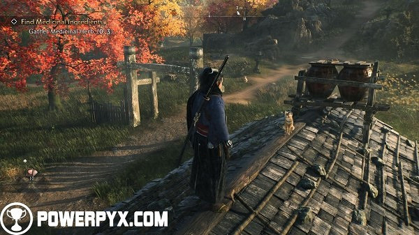 《浪人崛起》全貓咪收集攻略