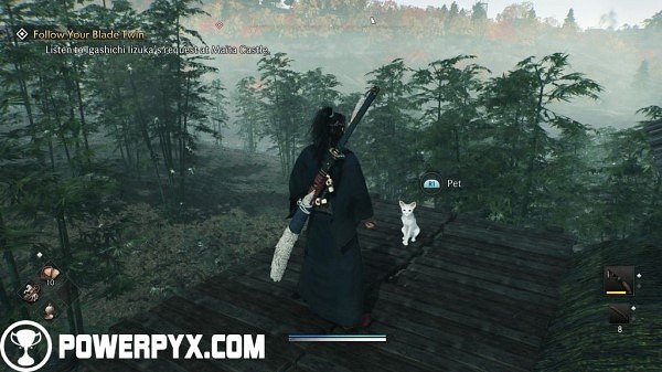 《浪人崛起》全貓咪收集攻略