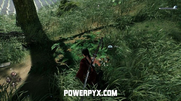 《浪人崛起》全貓咪收集攻略 《浪人崛起》全貓咪收集攻略