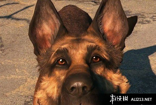 《異塵餘生4》全隊友好感、技能及隊友位置等資料分享 《異塵餘生4》全隊友好感、技能及隊友位置等資料分享