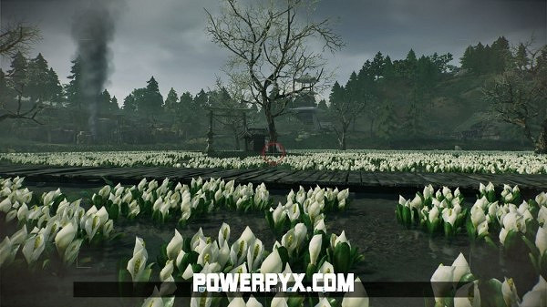 《浪人崛起》全拍照點位置攻略