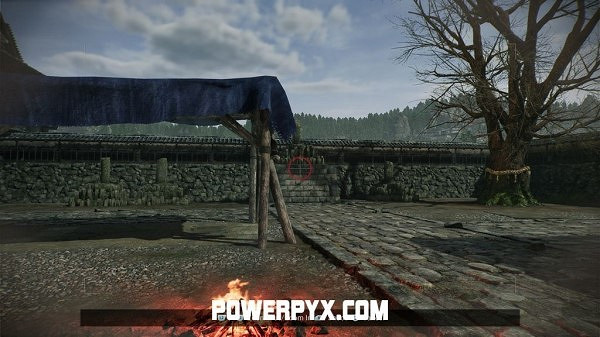 《浪人崛起》全拍照點位置攻略