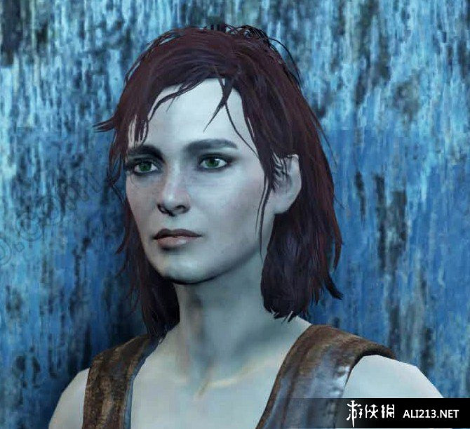 《異塵餘生4》全隊友好感、技能及隊友位置等資料分享 《異塵餘生4》全隊友好感、技能及隊友位置等資料分享