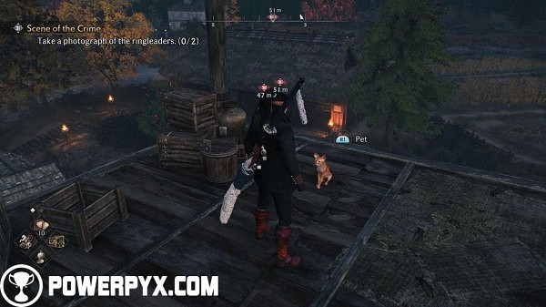 《浪人崛起》全貓咪收集攻略 《浪人崛起》全貓咪收集攻略