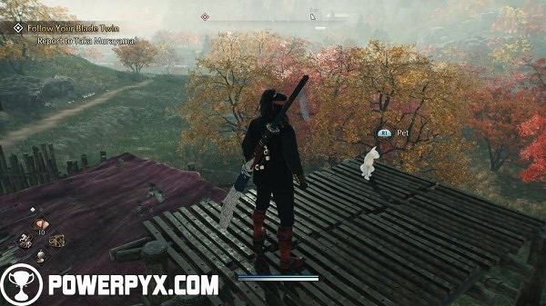 《浪人崛起》全貓咪收集攻略 《浪人崛起》全貓咪收集攻略