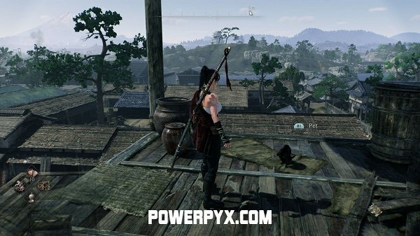 《浪人崛起》全貓咪收集攻略