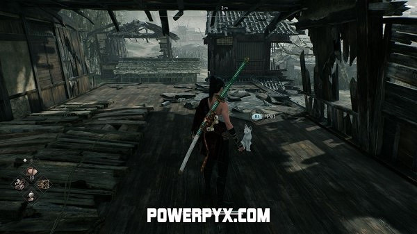 《浪人崛起》全貓咪收集攻略