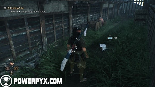 《浪人崛起》全貓咪收集攻略 《浪人崛起》全貓咪收集攻略