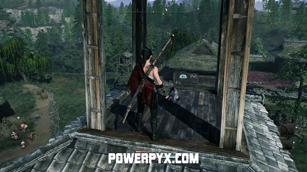 《浪人崛起》全貓咪收集攻略 《浪人崛起》全貓咪收集攻略