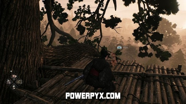 《浪人崛起》全貓咪收集攻略 《浪人崛起》全貓咪收集攻略