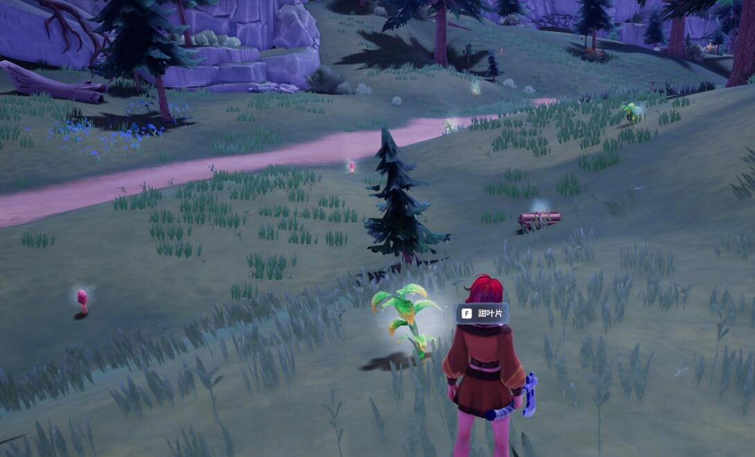 《Palia》芳香甘藍在哪採集？