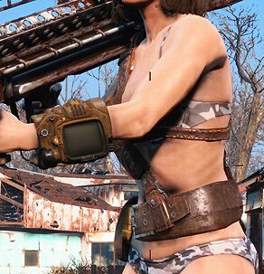 《異塵餘生4》個性化清涼內褲MOD使用教學