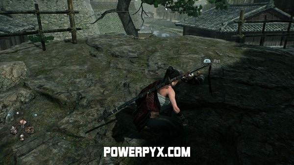 《浪人崛起》全貓咪收集攻略 《浪人崛起》全貓咪收集攻略