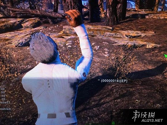 《異塵餘生4》細節技巧分享攻略 《異塵餘生4》細節技巧分享攻略