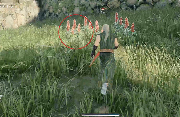 《浪人崛起》尋找藥材支線攻略 《浪人崛起》尋找藥材支線攻略