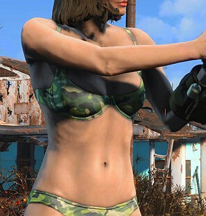 《異塵餘生4》個性化清涼內褲MOD使用教學