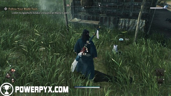 《浪人崛起》全貓咪收集攻略