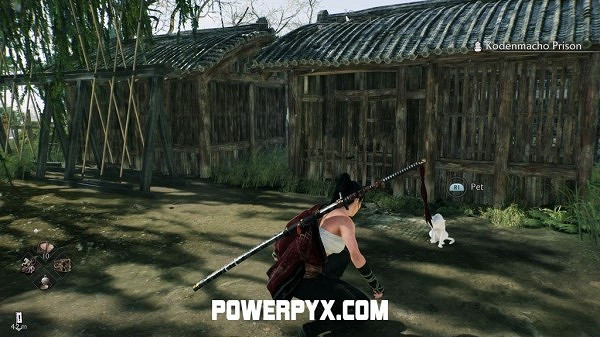 《浪人崛起》全貓咪收集攻略 《浪人崛起》全貓咪收集攻略