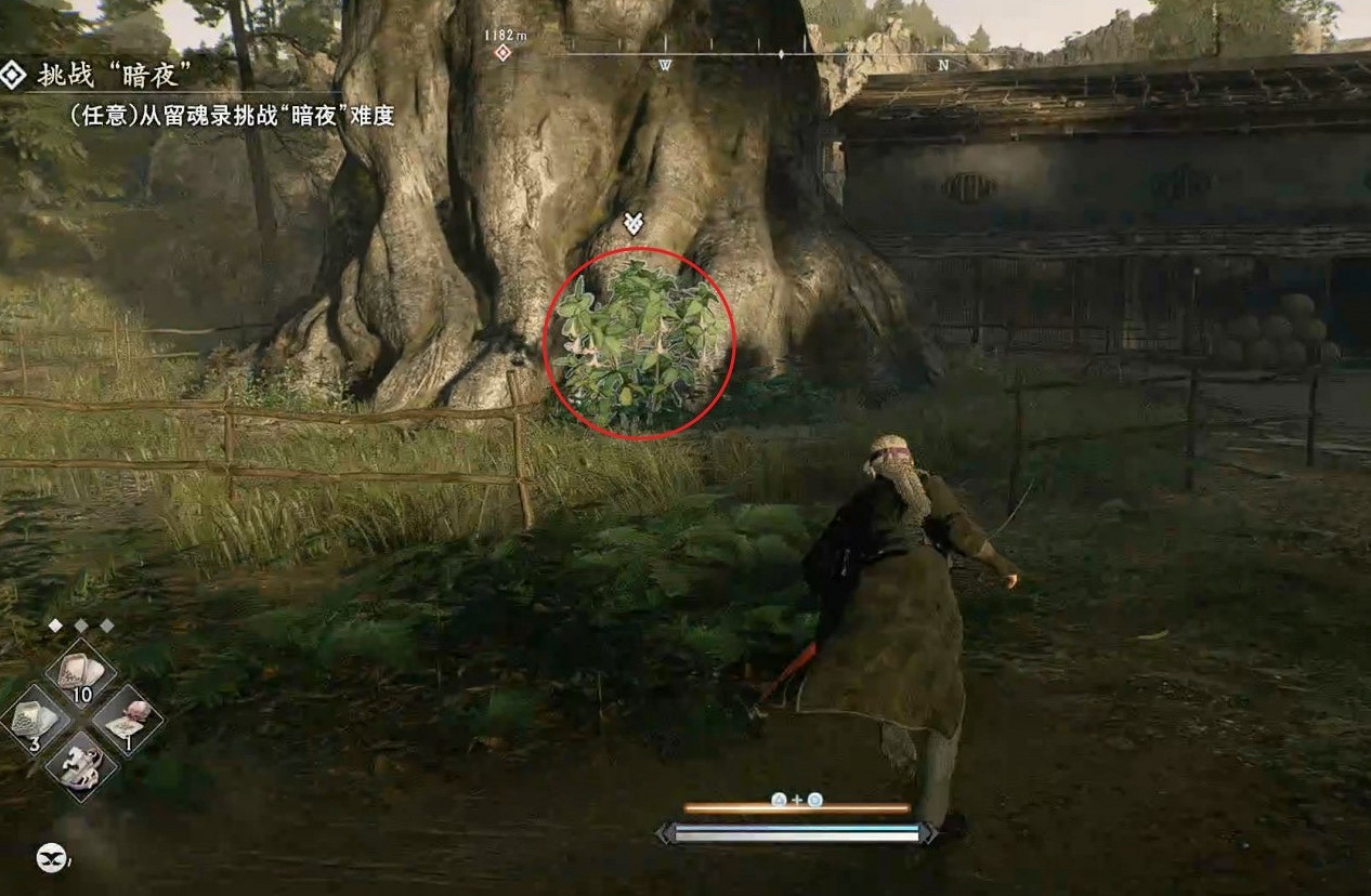 《浪人崛起》毒之花支線攻略