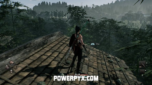 《浪人崛起》全貓咪收集攻略 《浪人崛起》全貓咪收集攻略