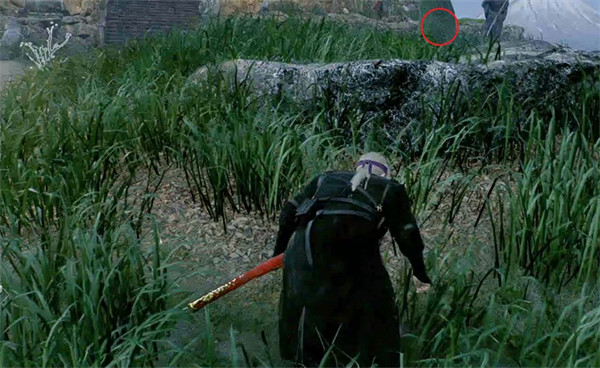 《浪人崛起》斡旋人支線攻略 《浪人崛起》斡旋人支線攻略