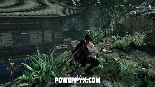 《浪人崛起》全貓咪收集攻略 《浪人崛起》全貓咪收集攻略