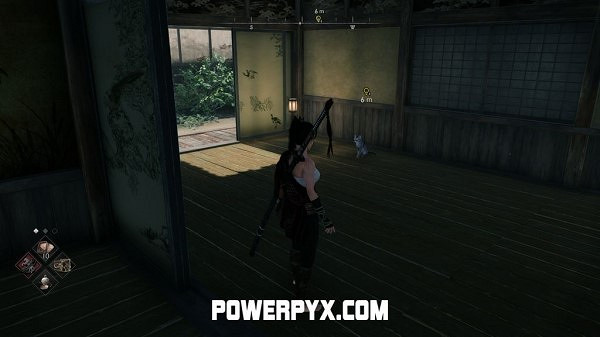 《浪人崛起》全貓咪收集攻略 《浪人崛起》全貓咪收集攻略