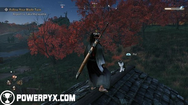 《浪人崛起》全貓咪收集攻略 《浪人崛起》全貓咪收集攻略