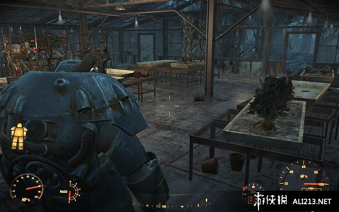 《異塵餘生4》食物種子獲得及種植方法