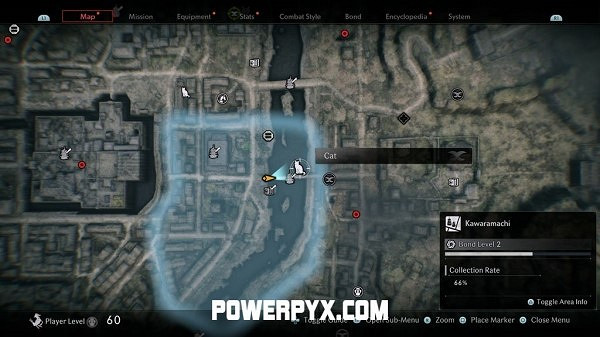 《浪人崛起》全貓咪收集攻略