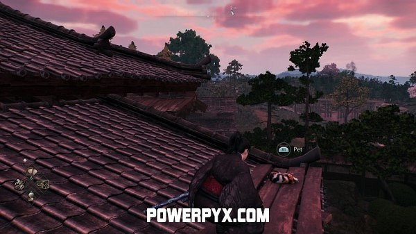 《浪人崛起》全貓咪收集攻略 《浪人崛起》全貓咪收集攻略