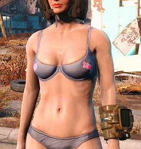 《異塵餘生4》個性化清涼內褲MOD使用教學 《異塵餘生4》個性化清涼內褲MOD使用教學