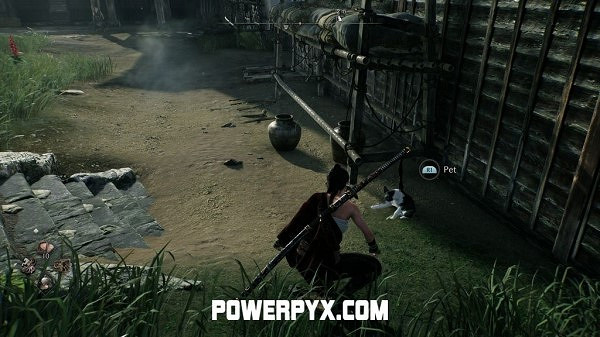 《浪人崛起》全貓咪收集攻略 《浪人崛起》全貓咪收集攻略